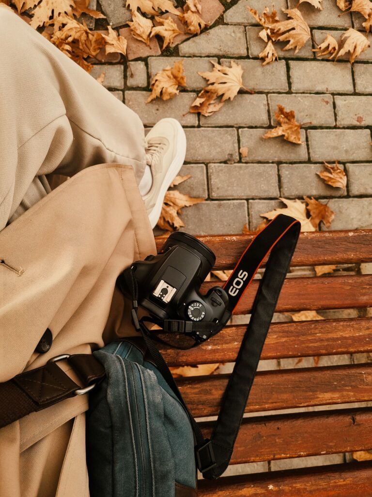 Cámara Canon EOS en banco exterior con hojas de otoño, equipo de soysilviacrea creadora de contenido UGC en Sevilla.